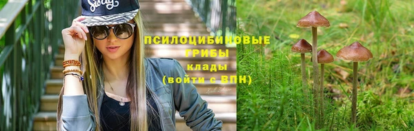 каннабис Алзамай