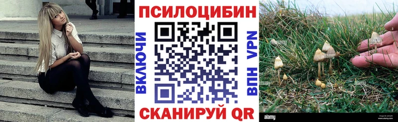 Галлюциногенные грибы GOLDEN TEACHER Бакал